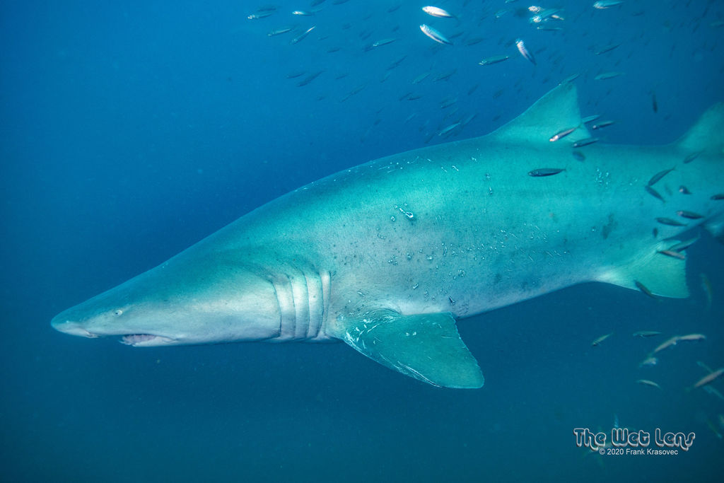 97032383-e882-48a0-8c71-4ae4cb44b19f