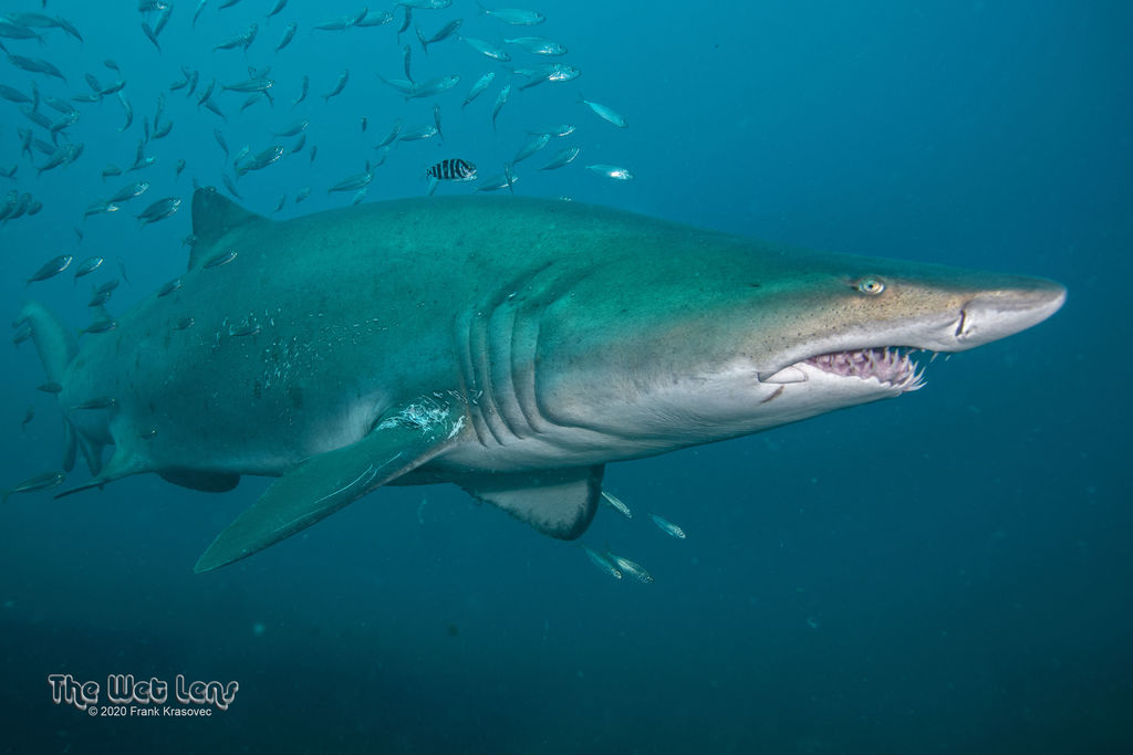 97032383-e882-48a0-8c71-4ae4cb44b19f