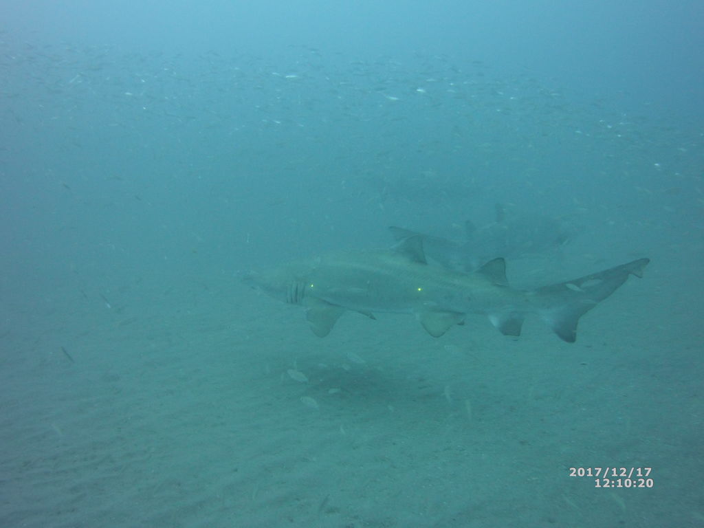 702eed34-d6b1-4f24-b6b2-39d968921452