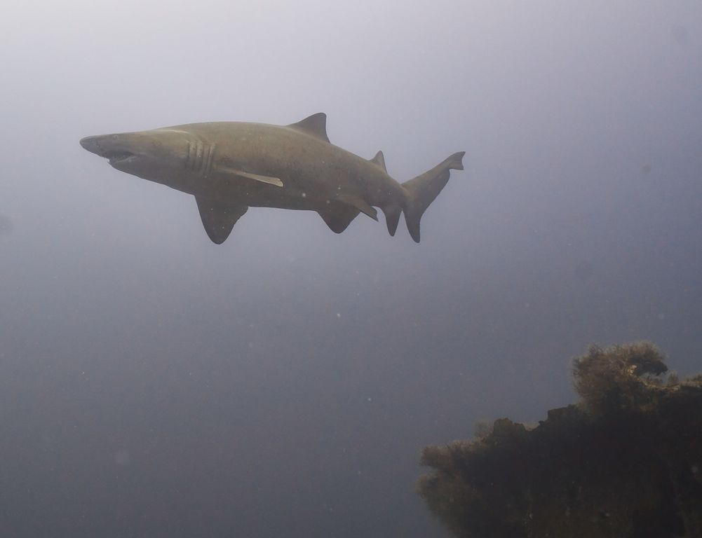 5c4abb13-1835-40bf-b6d8-b7ef20ea8ec9