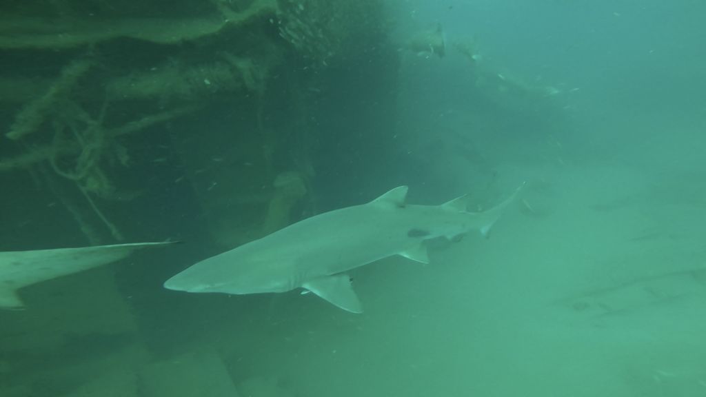 4e924caa-f1a5-47c4-9801-08cb40bb6ab3