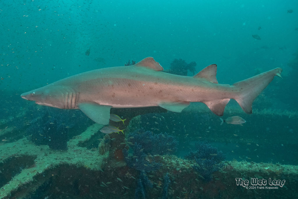 b623d039-bcbe-4996-856e-4758838e7dd7