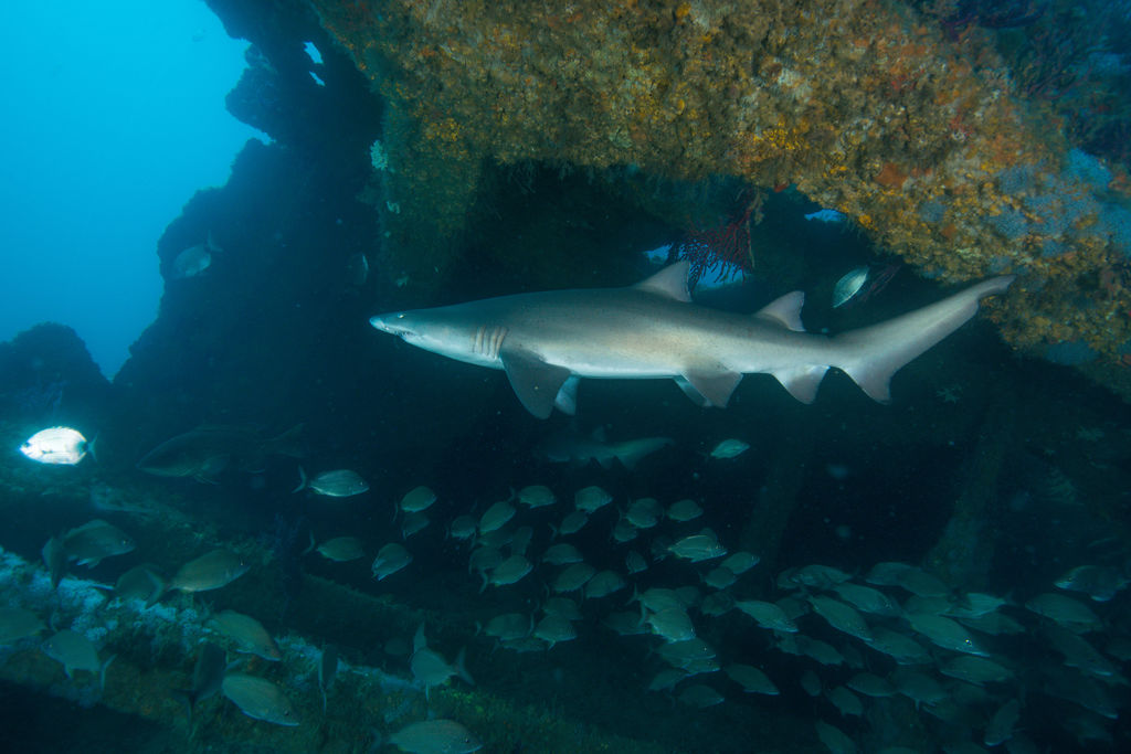 3fa9a2c4-9eb0-40f0-b449-43f7ab70fe5b