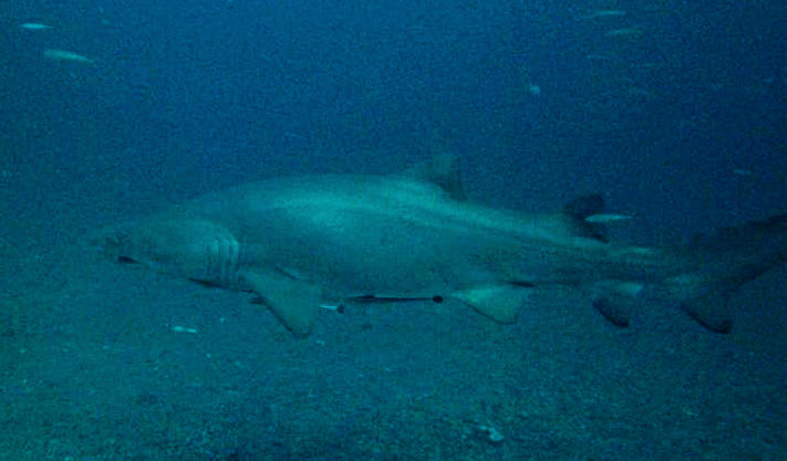 786dbdfc-05a0-43bd-8e2f-85650f1d9d38