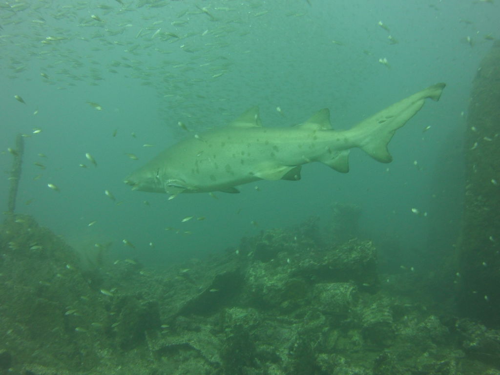 4df94a15-8ebe-429f-81e4-2dc10a5df8aa