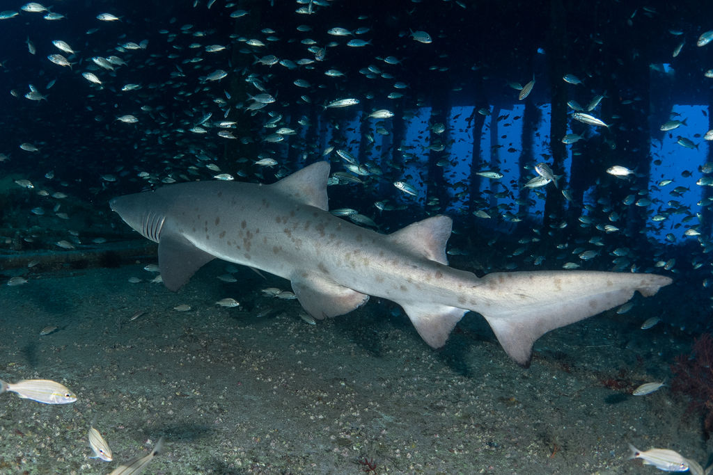 60f2a475-f29f-4a23-afdf-b045bbaf70e0