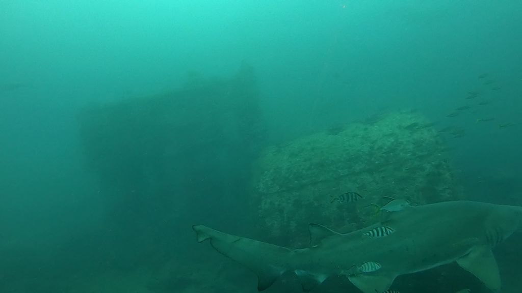 6fd5cdaf-eb2a-4cc1-9584-1054d72c8e5f