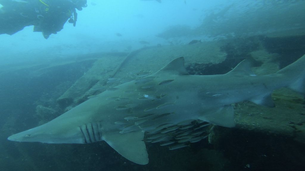 13125340-ec5d-4cd1-b74b-59b93f636abb