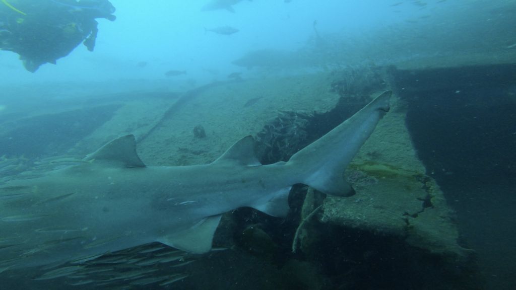 13125340-ec5d-4cd1-b74b-59b93f636abb