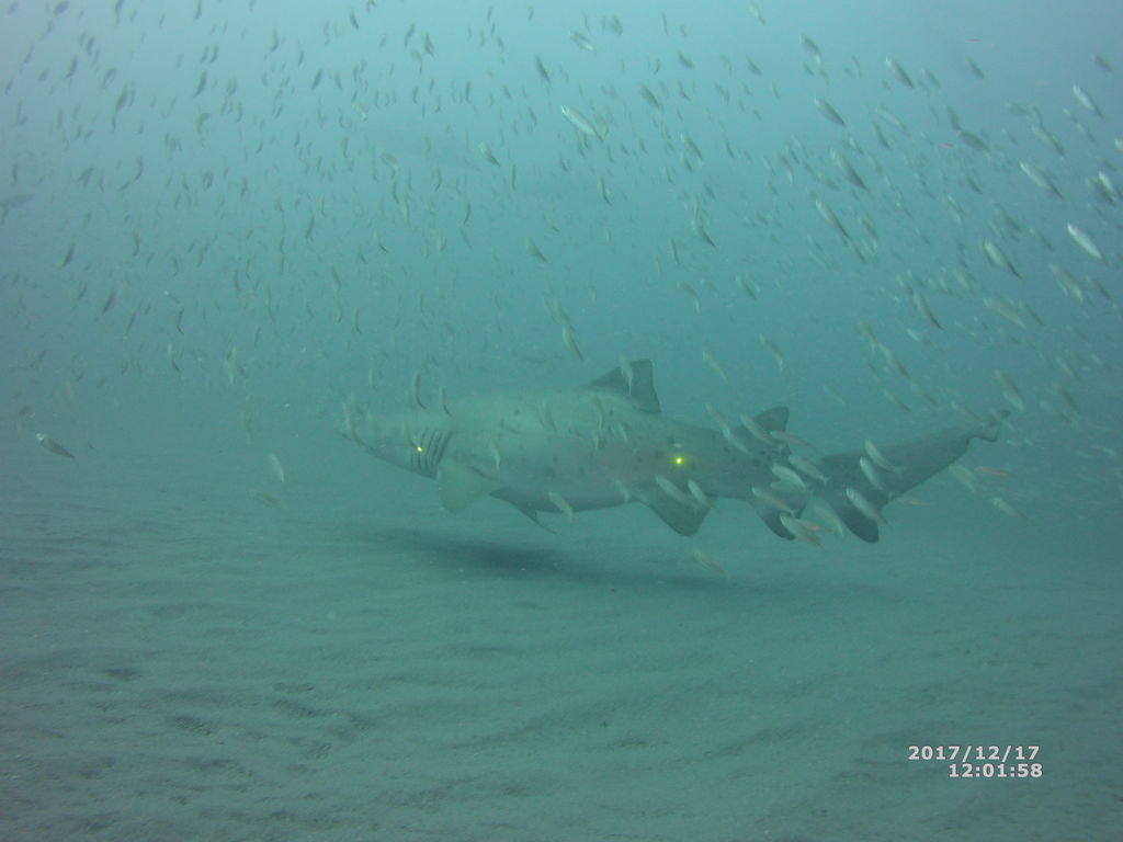 a57f86af-9450-4a08-99a3-0a298099f8d8