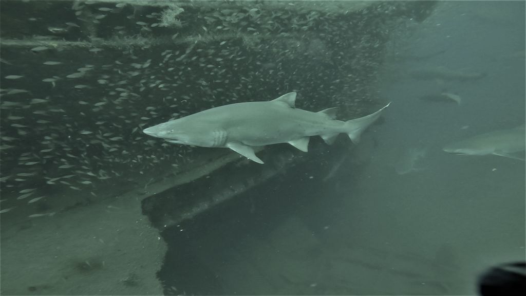 a44a9614-646e-4950-92c6-20153025cad3