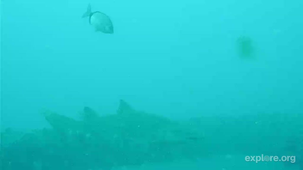 687bc9cf-a03e-4e7a-9d38-579d039585e3