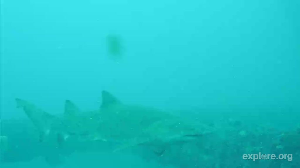 687bc9cf-a03e-4e7a-9d38-579d039585e3