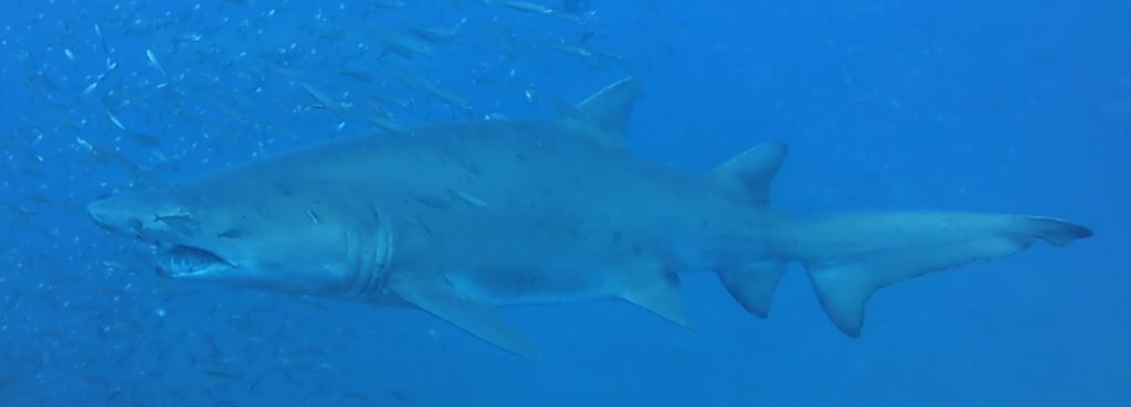 546316a7-55d1-456f-9f72-377d321e2c40