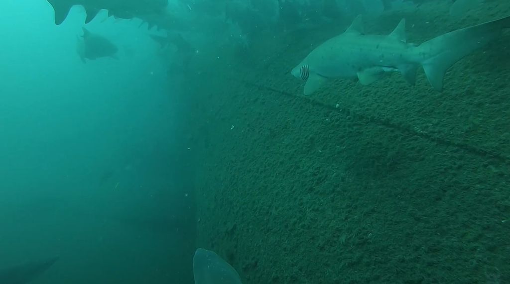 96247921-42b4-4e5c-90d1-210c7b328ec4