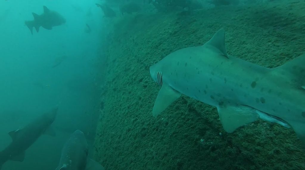 96247921-42b4-4e5c-90d1-210c7b328ec4