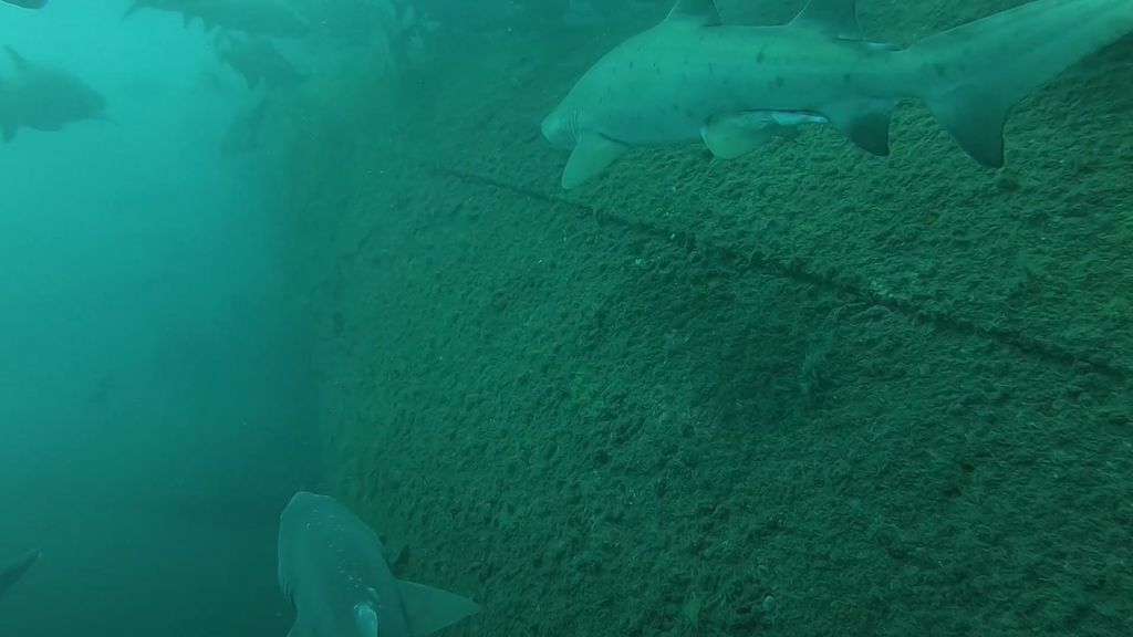 96247921-42b4-4e5c-90d1-210c7b328ec4