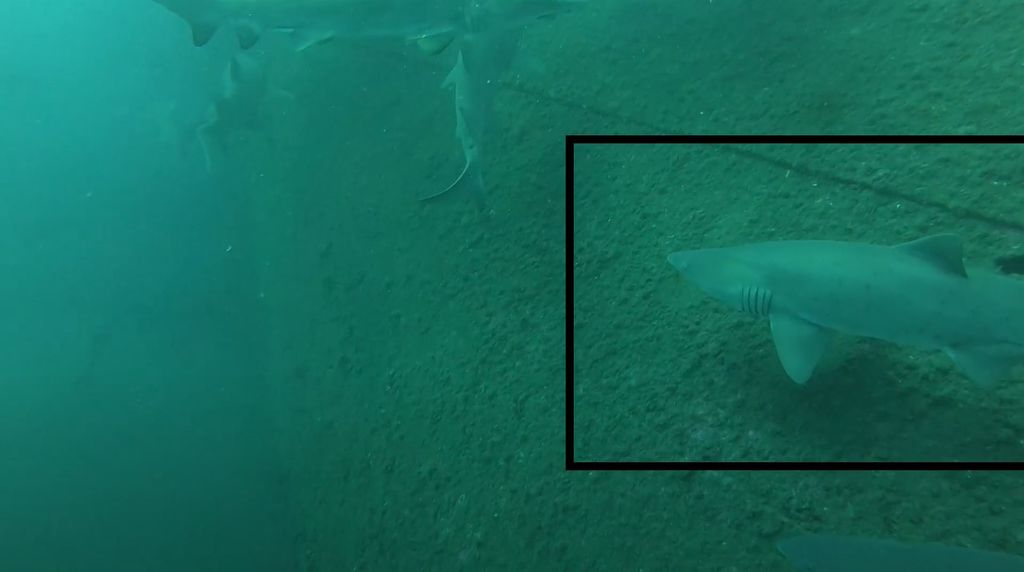 96247921-42b4-4e5c-90d1-210c7b328ec4