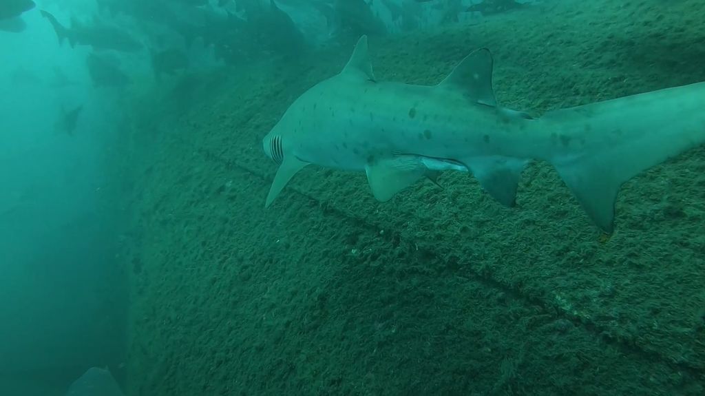 96247921-42b4-4e5c-90d1-210c7b328ec4