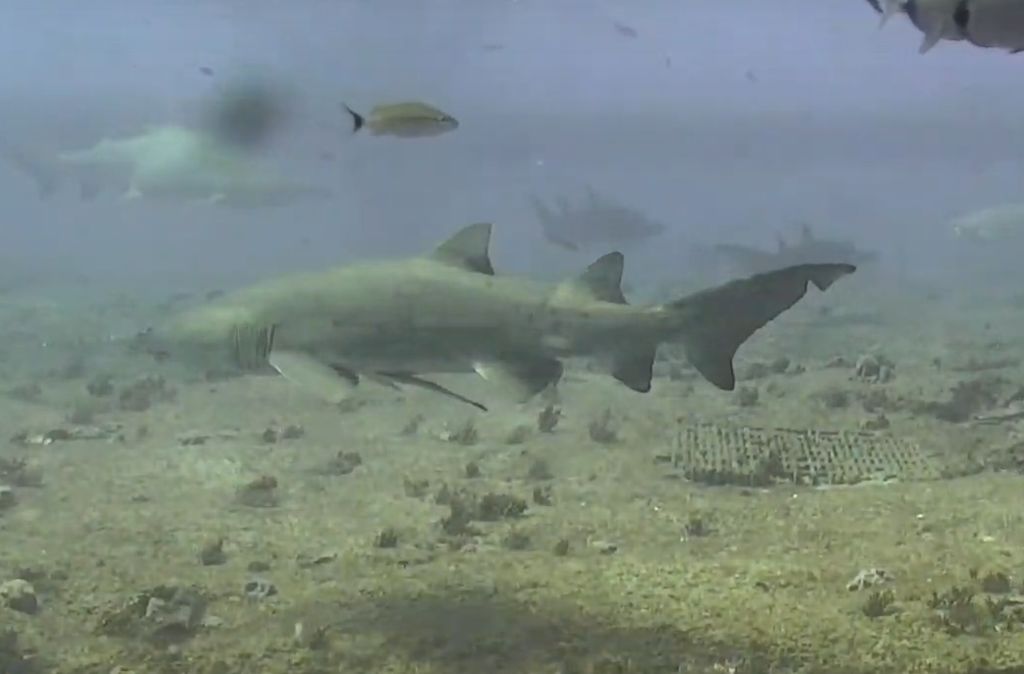 dc0bf667-8c1a-46be-ace9-4ba7cfaabd3a