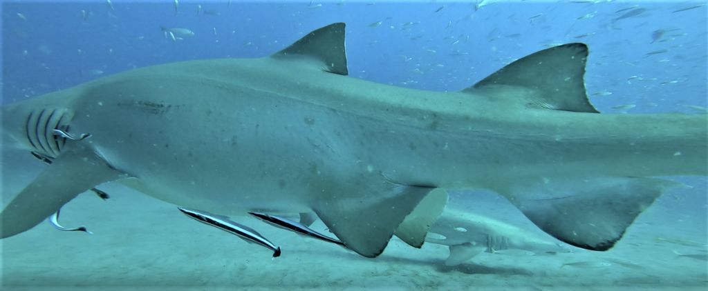 c73205bc-8128-470d-89b9-8a45815b9ec1