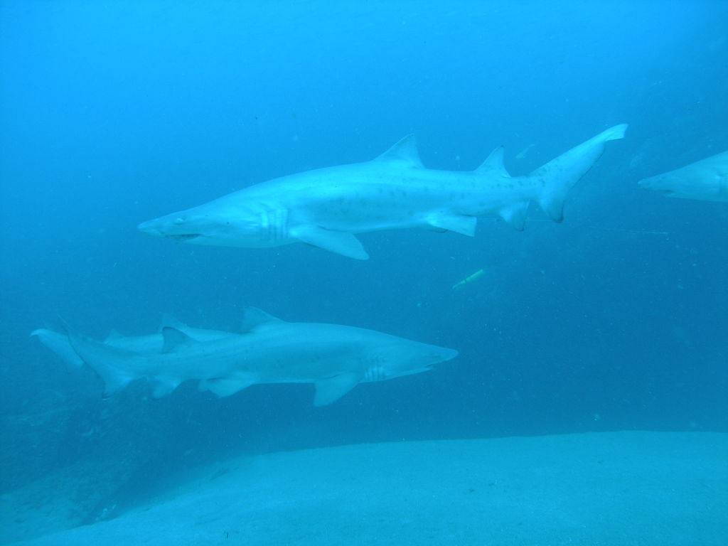 2280ecf6-6aa2-46f0-a23a-c3b4a6690a86