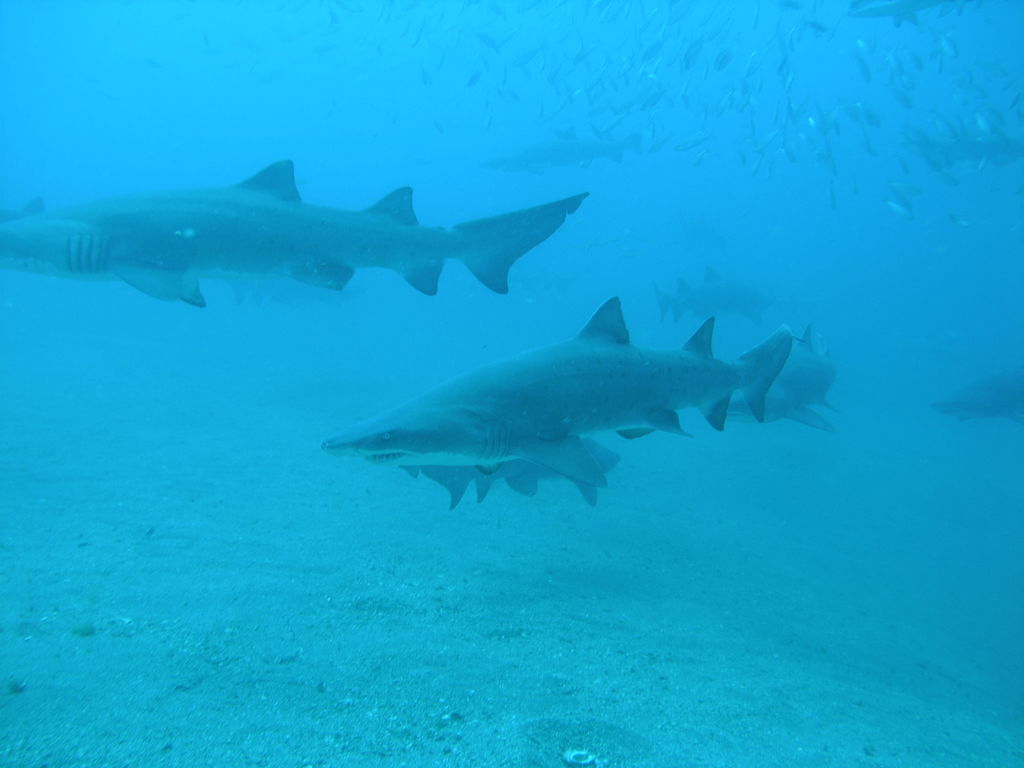 560f8b21-50b0-4091-a9b7-05259a788822