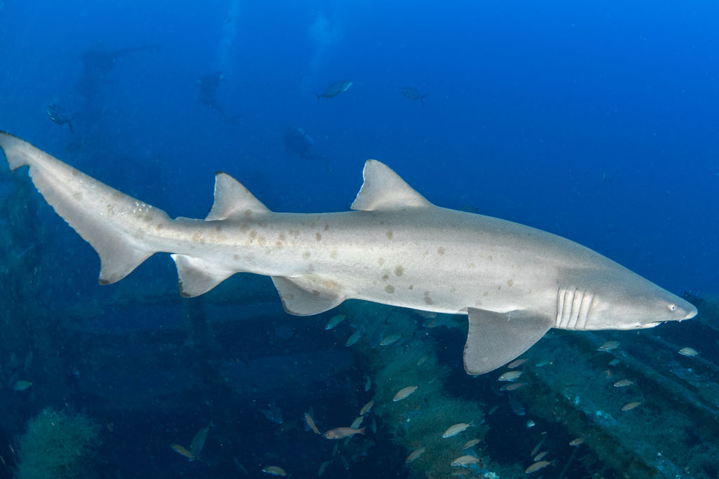 1bbfa7cc-0c12-4961-abef-f070e91350b3