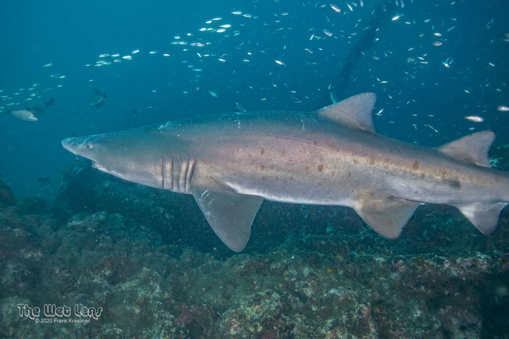 22c085ed-b3a1-4a3a-b14f-f74014bdd32e