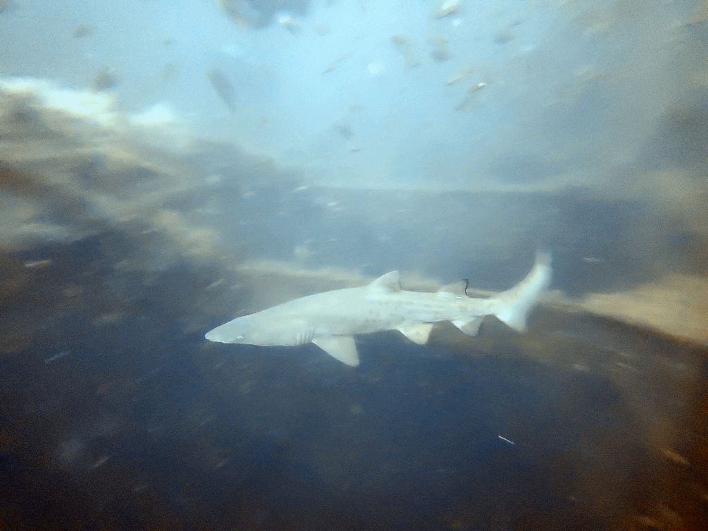 f6ee5ab9-c5a9-4aa9-a163-48d7cb3d4478