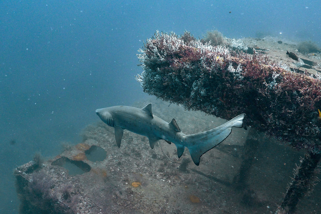 2e383cf7-abe9-4ce3-b3cc-d32f097c20af