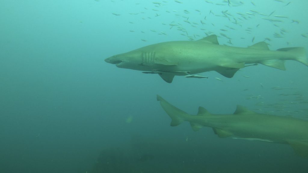 b2522e09-35c2-4a7c-8a3d-29614cbcc9cf