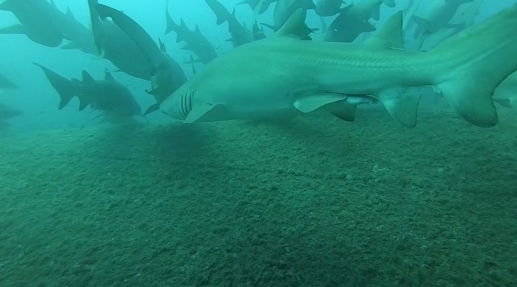 a3b295c4-3585-46ed-814c-bc05f4b96747