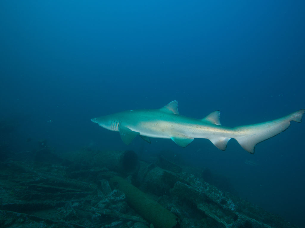 26b3d9fe-7b74-48f3-a8eb-7ad020b57019