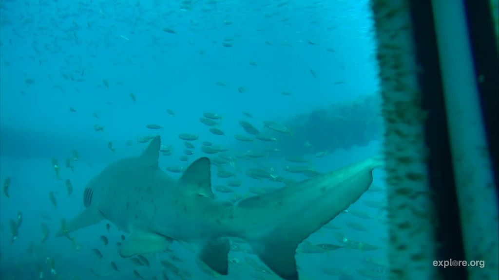 2b980b70-1c4a-464b-952f-620cf0ba40ba