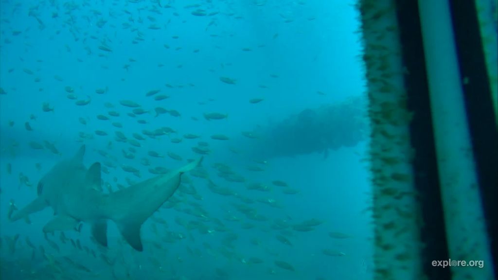 2b980b70-1c4a-464b-952f-620cf0ba40ba