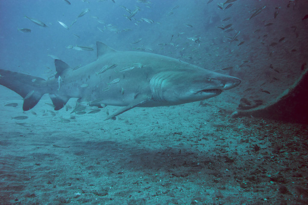 f1360cd5-d974-4473-b820-2fa70fb06bd9