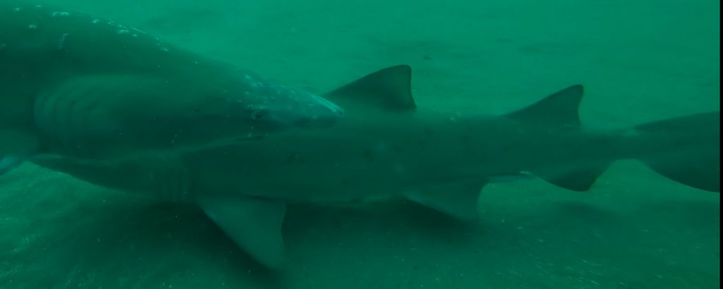 3be842ce-f42e-4b7e-bcb7-1ae757285bf3