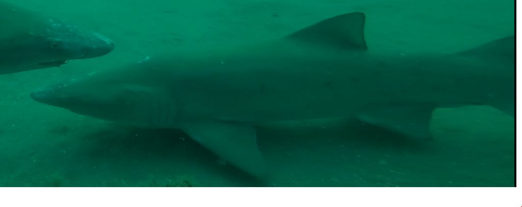 3be842ce-f42e-4b7e-bcb7-1ae757285bf3