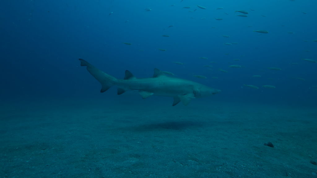 90447bb3-dac3-47fe-8370-93d40216404d