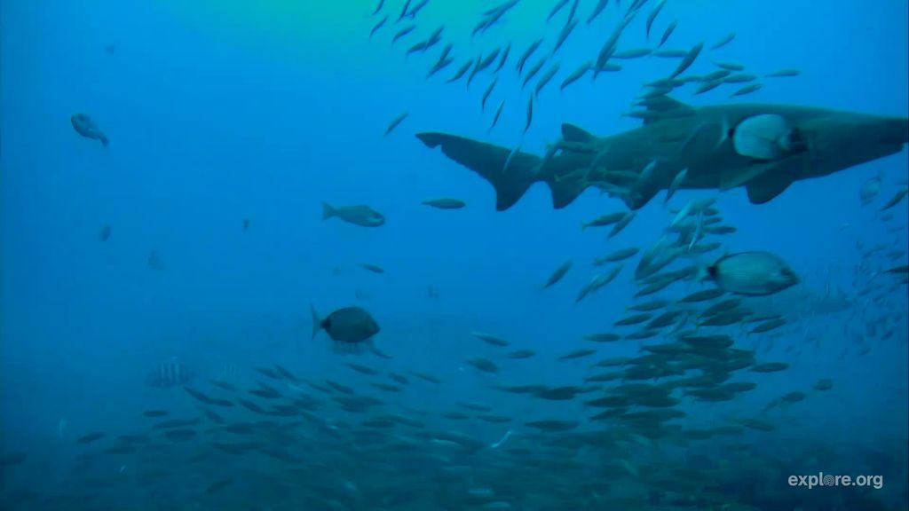 6076f9c9-1bbf-4ccb-8b66-e1e83f72b85e