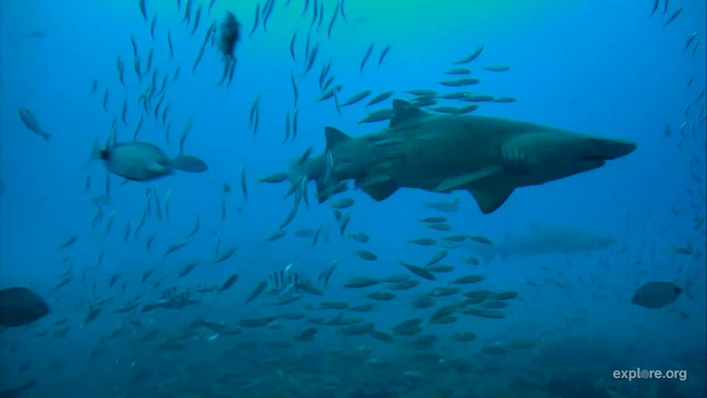 6076f9c9-1bbf-4ccb-8b66-e1e83f72b85e