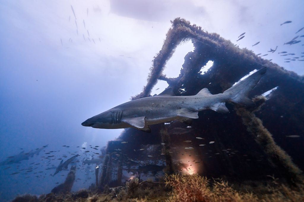 8027acf7-48c4-4264-9ecf-948ab162be2e