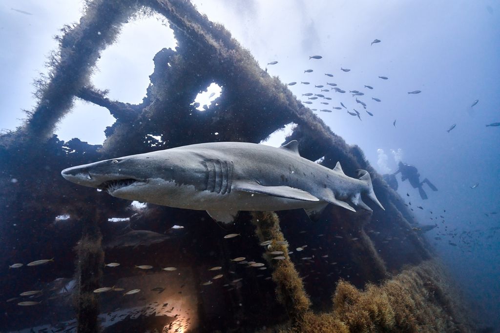 8027acf7-48c4-4264-9ecf-948ab162be2e