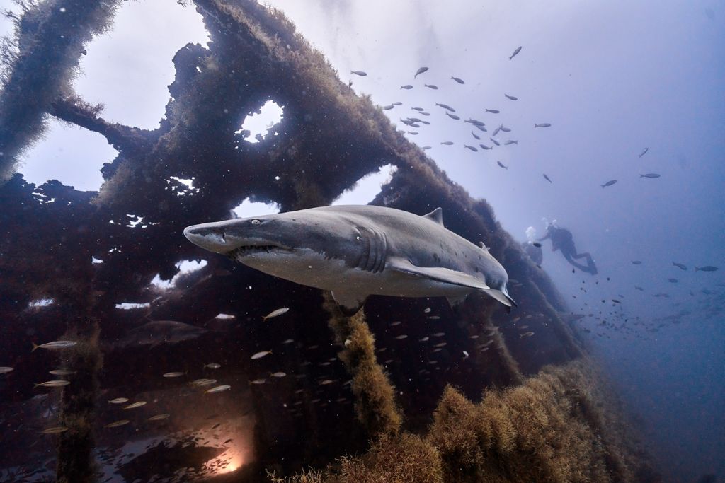 8027acf7-48c4-4264-9ecf-948ab162be2e