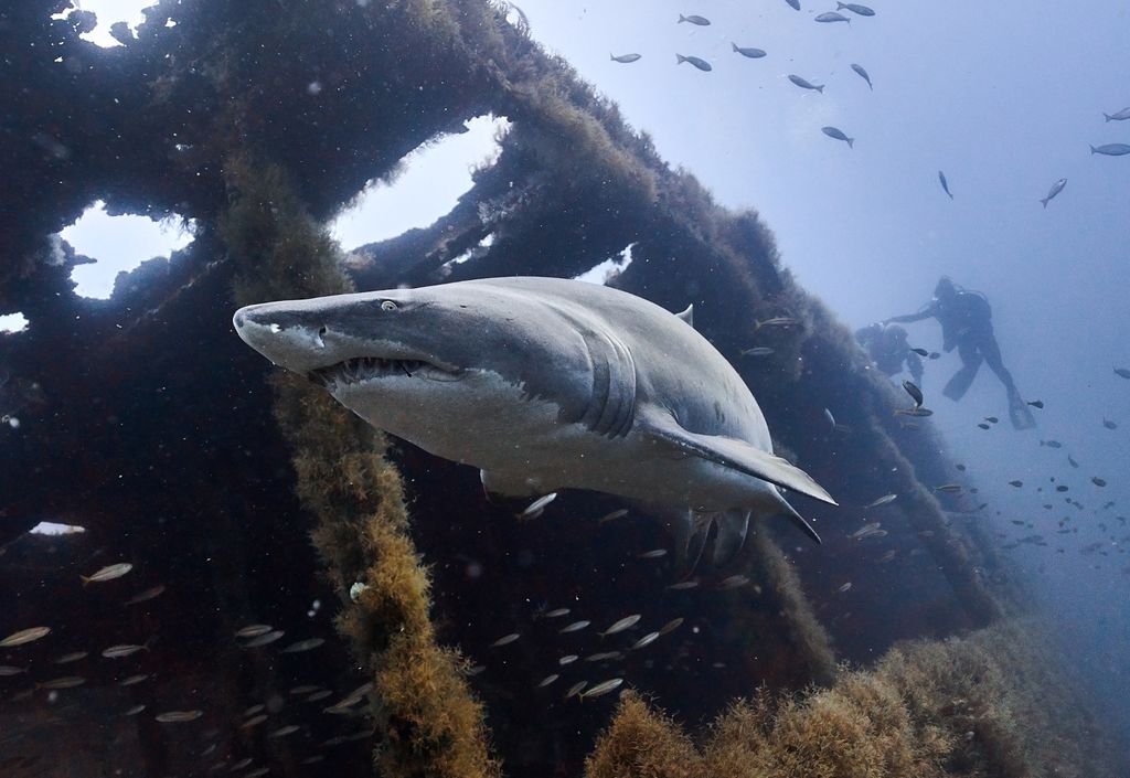 8027acf7-48c4-4264-9ecf-948ab162be2e