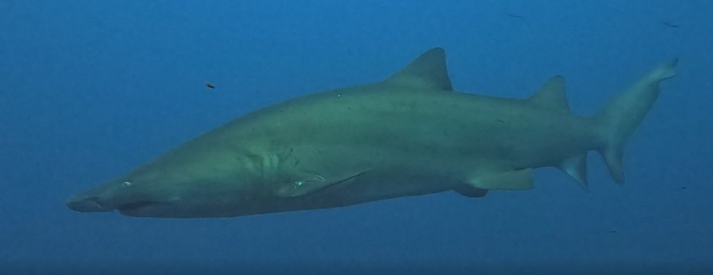 0dc565b5-b134-403b-a559-5a78b4f5b14c