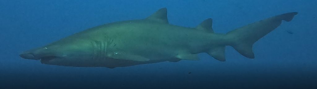 0dc565b5-b134-403b-a559-5a78b4f5b14c