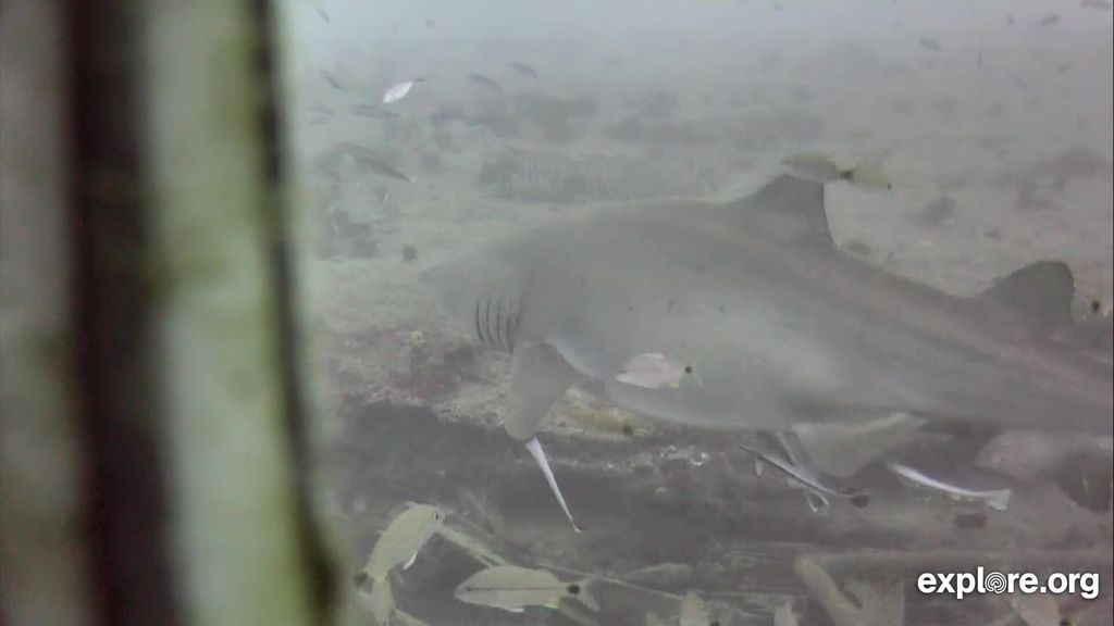 beaece51-2a21-4be8-a378-afd30094a061