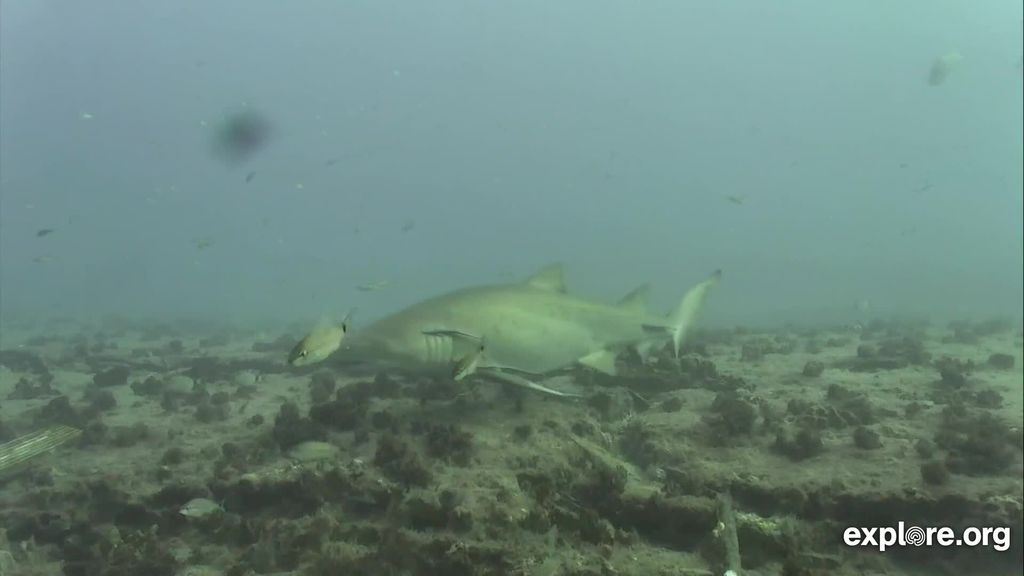 1712aebf-3918-47db-bd93-b1acfdb17da9